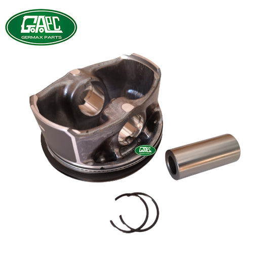 3.0t petrol piston with ring